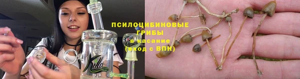 молекула духа Балахна