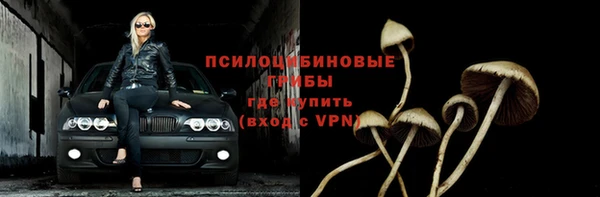 молекула духа Балахна