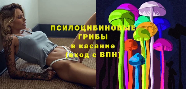 молекула духа Балахна