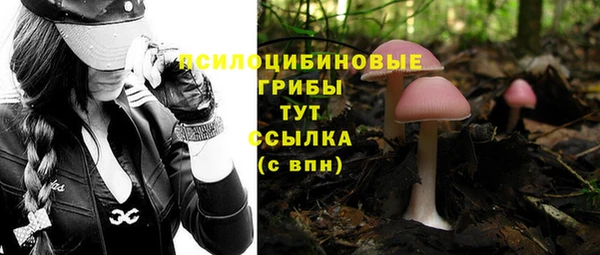 каннабис Баксан