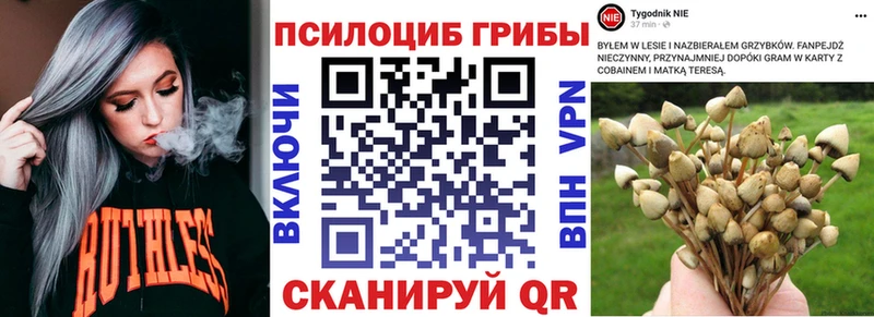 закладки Гудермес Галлюциногенные грибы Magic Shrooms